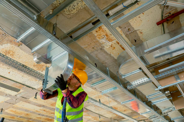 Best Local HVAC Companies  in Fruitland, IA